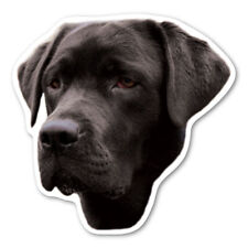(Black) Labrador Retriever Magnet picture