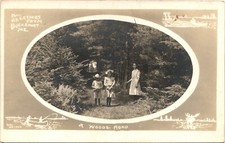 BUCKSPORT MAINE antique real photo postcard rppc LOVELY WOODED SCENE c1910 ~rare picture