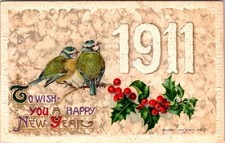 1911 Vintage John Winsch Beautiful Birds New Years Antique Postcard (UNPOSTED) picture