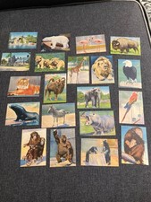 Vintage 1940s Philadelphia Zoo Linen Postcards - Lot of 10 Animals and Buildings picture