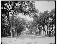 Photo:Mobile Alabama Government St 1900s Residential Street Trees picture