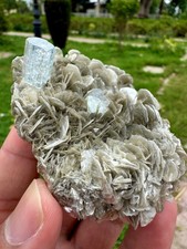 Beautiful aquamarine with Fluorite on Muscovite Combine Specimen, 615 CTS picture