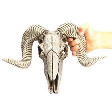 Resin Skeleton Ram Sheep Head Skull Head Wall Hanging 3D Longhorn Sculpture picture