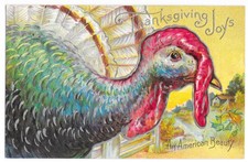 Antique Embossed Thanksgiving Postcard Turkey 