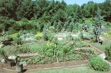 Garden View, Caprilands, Silver Street, Coventry, Connecticut, 1979 --POSTCARD picture