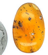 Certified 90 Million Year Old Burmese Amber Cabochon picture