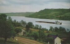 Scene on The Ohio River At Ripley Ohio Vintage Chrome Post Card picture
