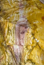 Gem Grade Wonderstone … Exquisite Detail and Quality - Nevada Area picture