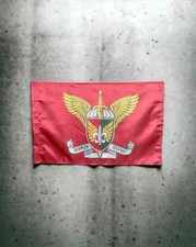 Flag of The 132nd separate reconnaissance battalion (Ukraine) red flag picture