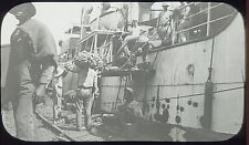 Early 1900s Loading Bananas on Boat Glass Camera Negative GUATEMALA Smithsonian  picture
