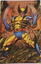 Ghost Rider Wolverine Weapons of Vengeance Alpha #1 1:100 Variant George Perez picture
