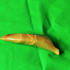 Amber Fossil Piece/Raw Piece Polished in Honey Yellow-Brown (Collectible) picture