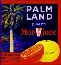 f39 Redland Florida Palm Land Orange Citrus Fruit Crate Label Fridge Magnet picture