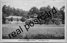 Vintage Postcard - Pine Bluff Sanatorium Salisbury MD - Albertype Co 1924 Posted picture