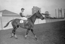 Jockey W Stott Riding 1932 Grand National Winner Forbra 1933 OLD PHOTO picture