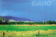 Idaho Farmlands Scenic View Vintage Continental Postcard Unposted picture