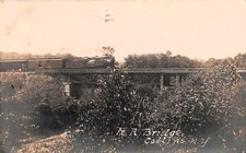 RPPC Collins NY New York Railroad Train Bridge Erie County Photo Postcard G60 picture