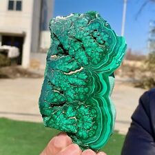 281G Natural glossy Malachite transparent Crystal mineral sample healing picture