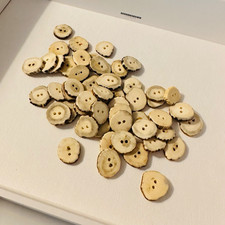 Natural Wood Round 2-Hole Flat Sewing Buttons Beige/Brown Lot 21-50 picture