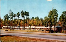 Durham NC postcard HOMESTEAD MOTEL & ROADSIDE VIEW WITH TREES s/21 BC9793 picture