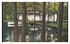 Gota Canal Lakeside Steamer Standard Postcard picture