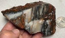 ☘️RR⛏️: Agate/Opal/Bark, Arizona Petrified Wood 8 Oz. 🌈 picture