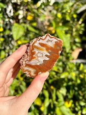 Coyamito Agate from Mexico picture