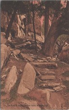 Trail to Chilnualna Falls Wawona CA Yosemite Stone Steps Rieder 1900s Postcard picture