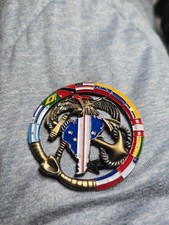 Marine Security Guard MSG Region 4 Flags South America Challenge Coin USMC 2016 picture