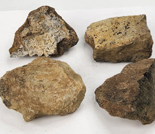 Jurassic 1.7 lb Dinosaur Bone Fossil Bulk Lot - Morrison Fm. - Big Horn Co., WY picture