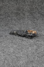 Horned Toad Zuni Fetish Carving - Tony Mackel picture