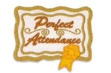 Girl Boy Cub PERFECT ATTENDANCE Award Meetings Fun Patches Badges SCOUTS GUIDE picture