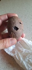 Dinosaur egg picture