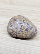 Coquina Jasper Tumbled and Polished - Healing Stone picture