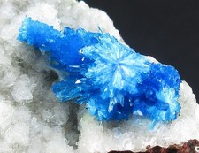 36g GEM Cavansite minerals samples specimen picture