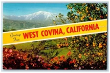 1969 Greetings Winter West Covina Orange Trees Southern California CA Postcard picture