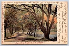 Antique New York Postcard BABYLON Argyle Park Lake Grove L.i. 1908 picture