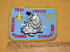 VINTAGE BSA BOY SCOUTS OF AMERICA PATCH 1973 SCHENECTADY MOHAWK  DEEP FREEZE picture