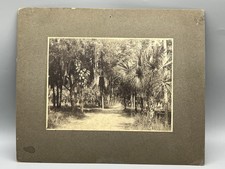 Original William Roxbury Cabinet Card Photo Daytona Florida picture
