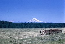 Orig 1963 Slide Mount Rainier Washington Wagon Landscape A22 picture
