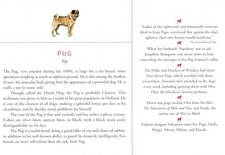 Pug - CUSTOM MATTED Dog Art Print - Breed Description and History picture