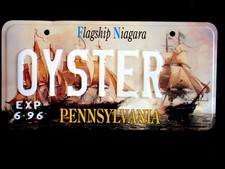 🇺🇸 - PENNSYLVANIA - 1996 Flagship Niagara specialty license plate picture