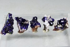 Parcel of 5 AZURITE MICROS - Morenci Mine, Morenci, Greenlee Co., Arizona picture
