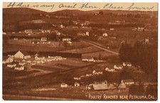 1914 Petaluma, California - Town & Farms - Sonoma County Agriculture - Postcard picture