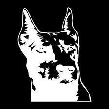Doberman Pinscher Head Portrait Dog Decal Sticker White Die Cut Vinyl picture