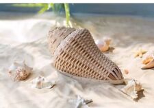 Dresden & Company CONCH SHELL BASKET~NEW~JUNE 24 ONLY Longaberger Weavers BEACH picture
