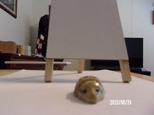 Beautiful Sandstone Carving of a Lady Bug. Made in Peru 1.5 inches by 1 inch.  picture