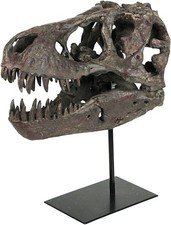 TYRANNOSAURUS SKULL REPLICA DINOSAUR BONE BIG SCULPTURE HEAD TREX LARGE NICE NEW picture