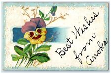 1911 Best Wishes From Anonka Minnesota Embossed Glitter Flower Antique Postcard picture