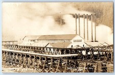 c1910's View Of Lumber Mill Scotia California CA RPPC Photo Antique Postcard picture